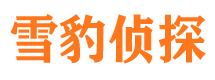 海勃湾市侦探调查公司